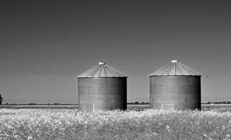 grayscale photography of two silo on grass
